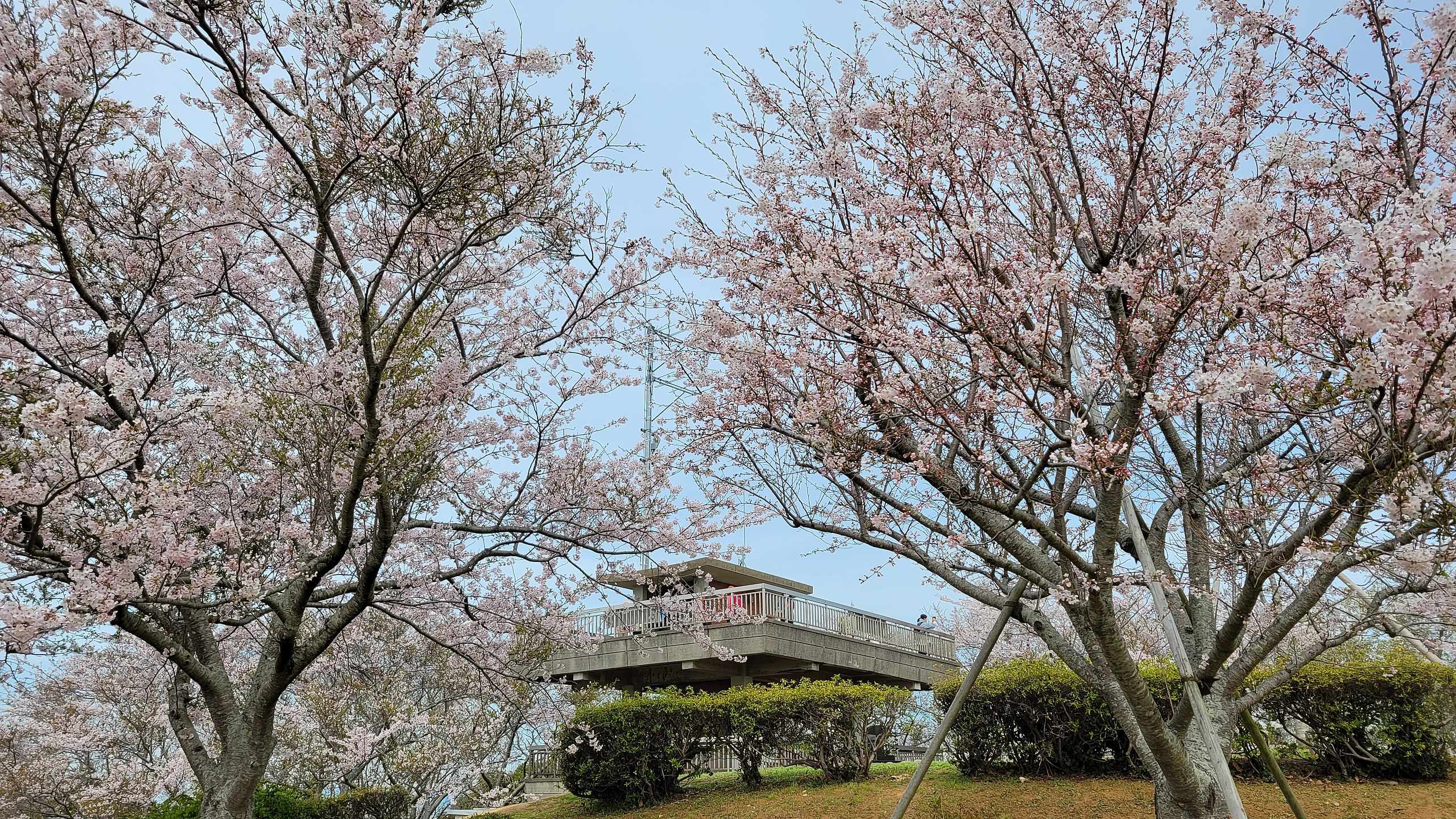 🏞️ 용왕산 공원(류오잔 코엔) 이미지 3